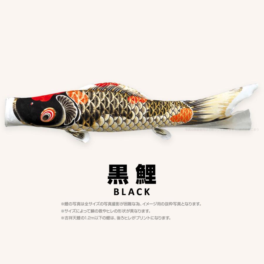 こいのぼり 単品 吉祥天 1.5m 単品鯉 : 節句&ギフト専門店 ぷり