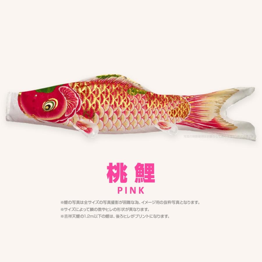 鯉のぼり吉祥天1.5mセット 鯉のぼり】吉祥天 万能スタンドセット〈錦鯉〉 | 鯉のぼり