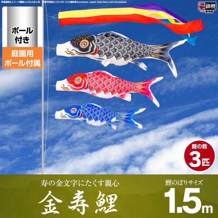 鯉のぼり 庭用 こいのぼり 錦鯉 寿の金文字にたくす親心 金寿鯉 1.5m 6