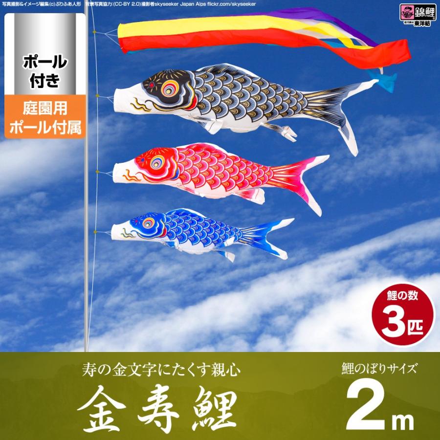 鯉のぼり 庭用 こいのぼり 錦鯉 寿の金文字にたくす親心 金寿鯉 2m 6点セット 鯉のぼり 庭用 ポール付属 ガーデンセット