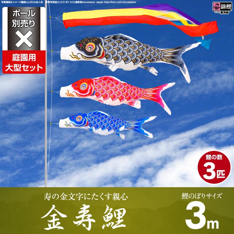 鯉のぼり 庭用 こいのぼり 錦鯉 寿の金文字にたくす親心 金寿鯉 3m 6点セット 庭園 大型セット ポール 別売