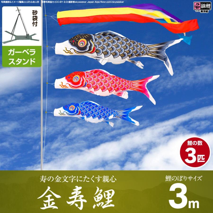 魅了 鯉のぼり ベランダ用 こいのぼり 錦鯉 寿の金文字にたくす親心 金寿鯉 3m 6点セット 庭園 ベランダ 兼用 ガーデンベランダセット スタンド付属 最適な材料 Www Ladislexia Net