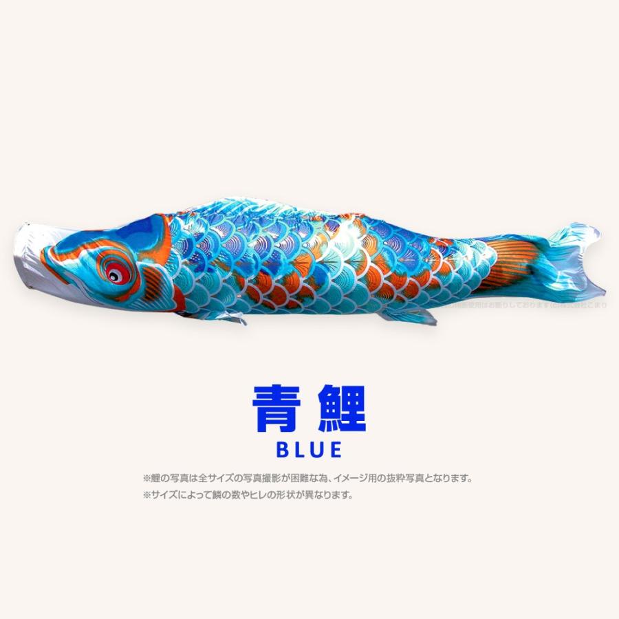 鯉のぼり　単品　青1.5メートル　錦鯉 鯉のぼり 単品 青1.5メートル 錦鯉 青鯉【錦龍】単品鯉のぼり ｜徳永
