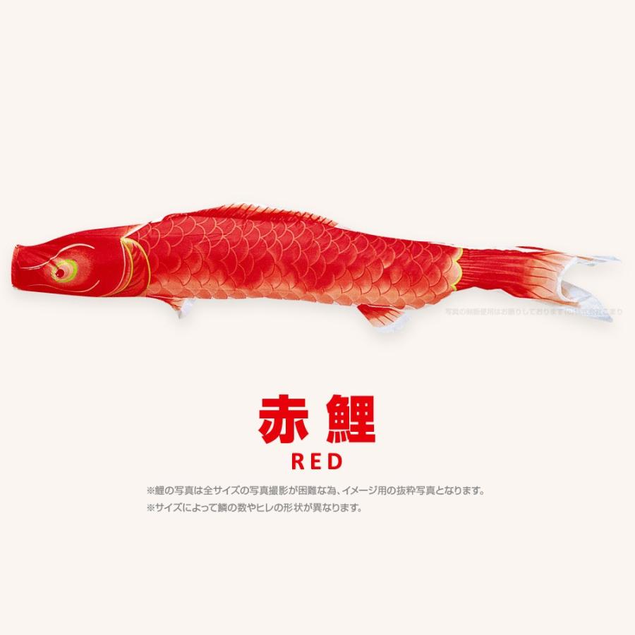 こいのぼり 単品 健児錦鯉 4m 単品鯉 : masurao-040-p : 節句&ギフト