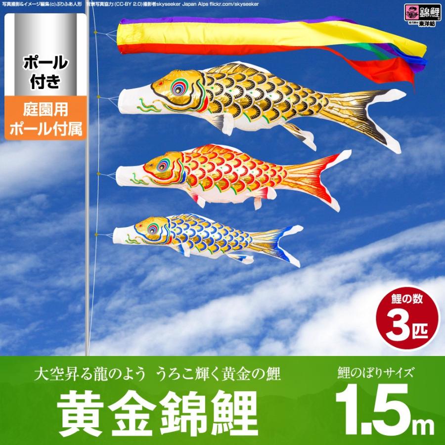 鯉のぼり 庭用 こいのぼり 錦鯉 黄金錦鯉 1.5m 6点セット ポール付属 