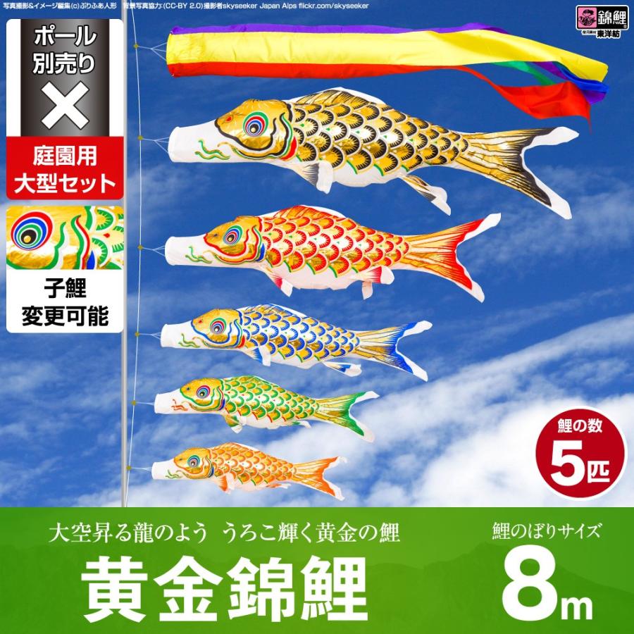 鯉のぼり 庭用 こいのぼり 錦鯉 黄金錦鯉 8m 8点セット 庭園 大型セット ポール 別売
