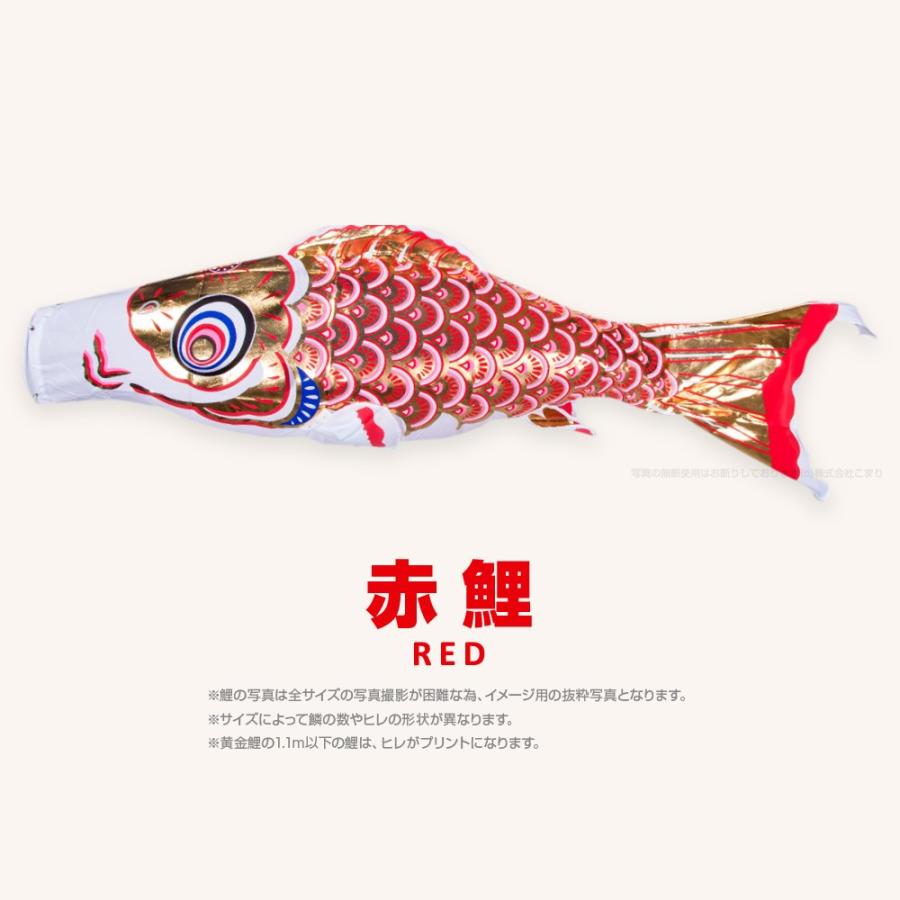 こいのぼり 単品 黄金鯉 9m 単品鯉 : 節句&ギフト専門店 ぷりふ こいのぼり 単品 黄金鯉 9m 単品鯉 : 節句&ギフト専門店 ぷりふ