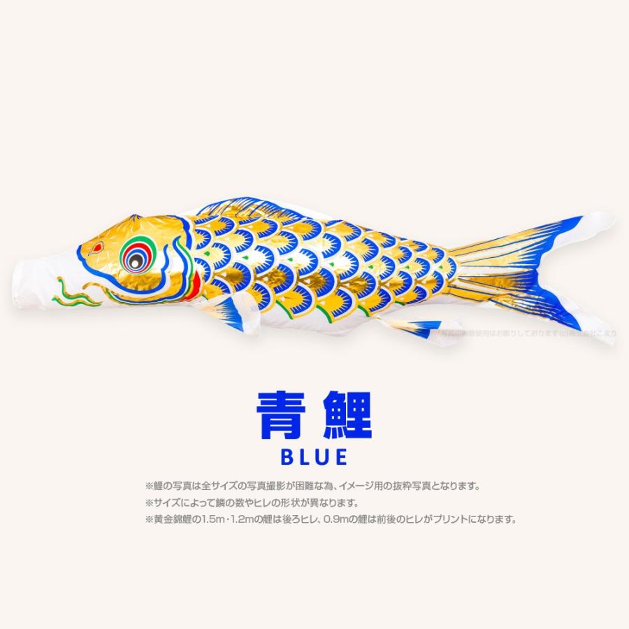 こいのぼり 単品 黄金錦鯉 1.2m 単品鯉 : 節句&ギフト専門店 ぷりふあ