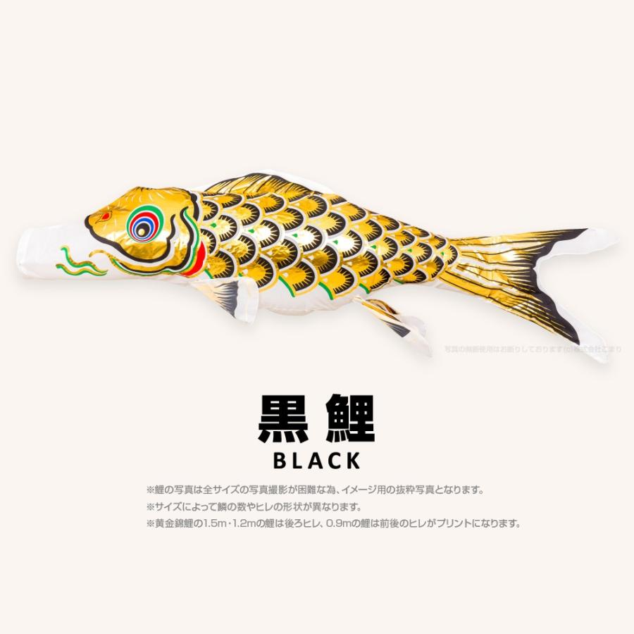 こいのぼり 単品 黄金錦鯉 2m 単品鯉 : 節句&ギフト専門店 ぷりふあ