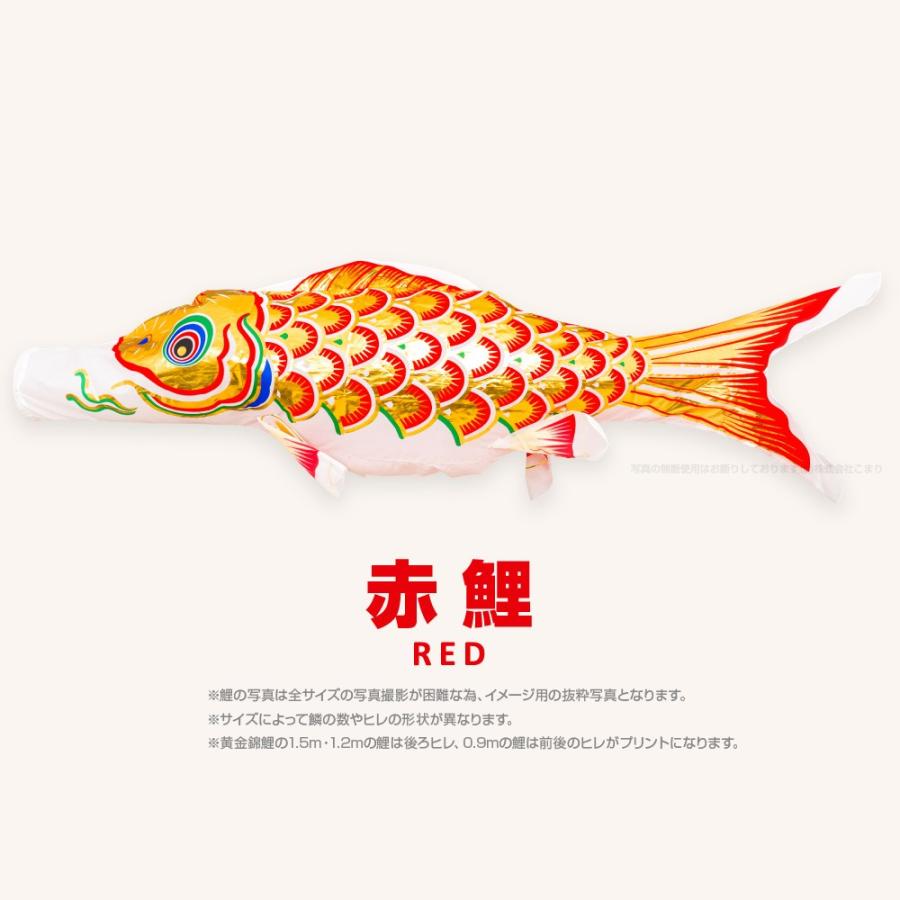 こいのぼり 単品 黄金錦鯉 2m 単品鯉 : 節句&ギフト専門店 ぷりふあ