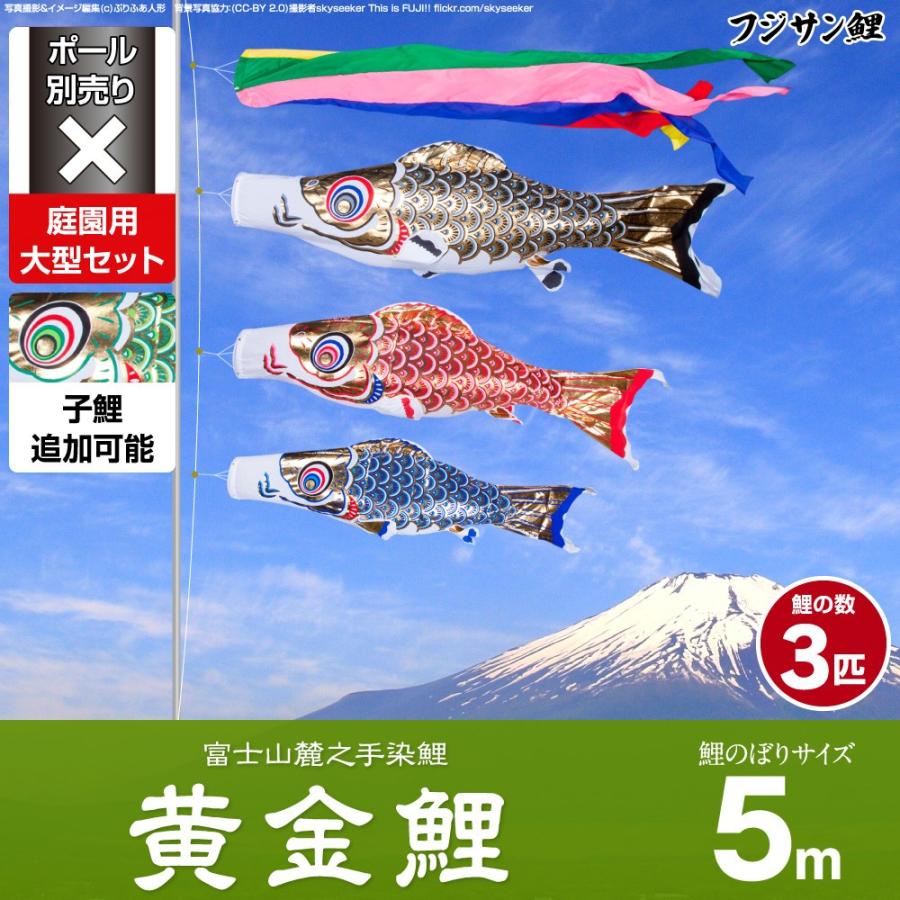 鯉のぼり5m 黄金