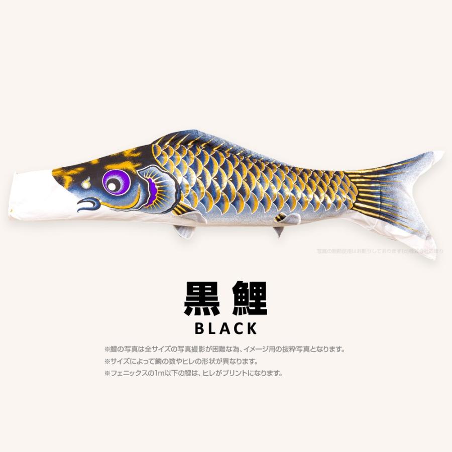 こいのぼり 単品 焔帝フェニックス 3m 単品鯉の画像