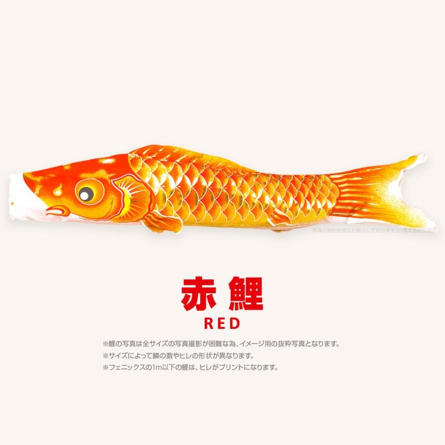こいのぼり 単品 焔帝フェニックス 3m 単品鯉の画像