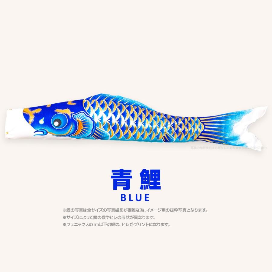 こいのぼり 単品 焔帝フェニックス 3m 単品鯉の画像
