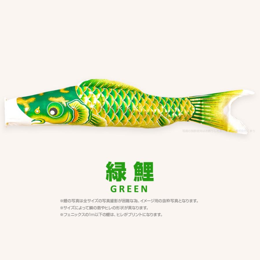こいのぼり 単品 焔帝フェニックス 3m 単品鯉の画像