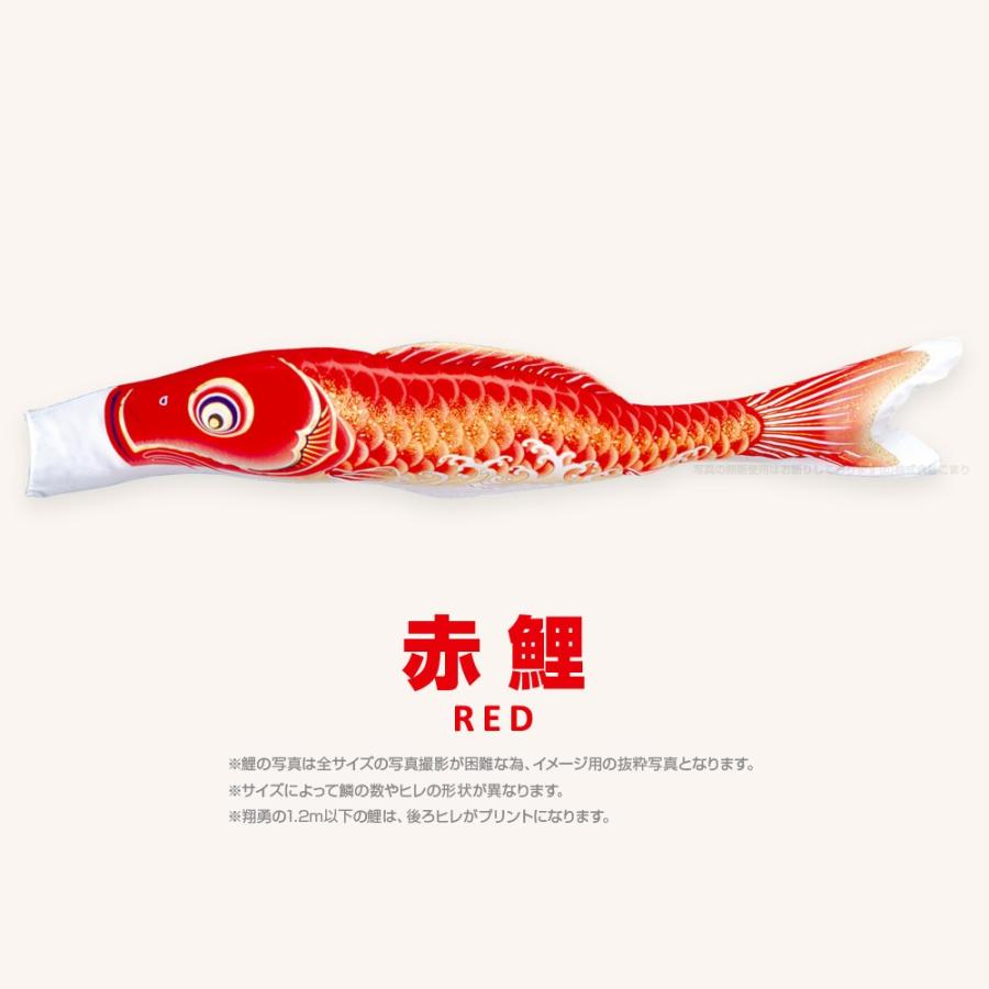 こいのぼり 単品 翔勇鯉 3m 単品鯉 : 節句&ギフト専門店 ぷりふあ人形