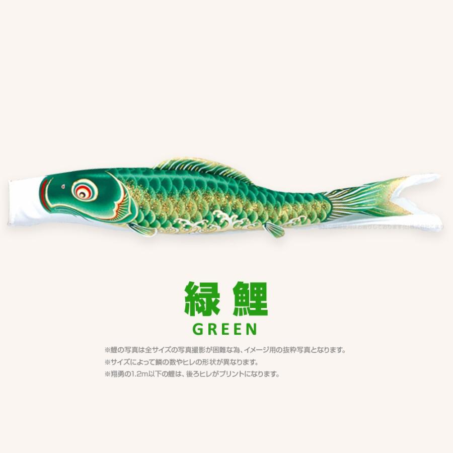 旭天竜　翔勇　3mセット　緑鯉付き　鯉のぼり こいのぼり 単品 翔勇鯉 3m 単品鯉 : 節句&ギフト専門店 ぷりふあ人形