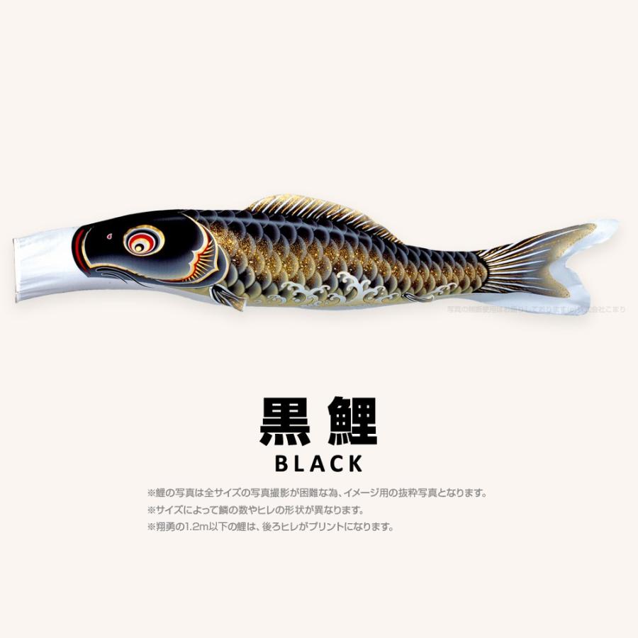 人気ブランド こいのぼり 単品 翔勇鯉 4m 単品鯉 鯉のぼり | oksi.al