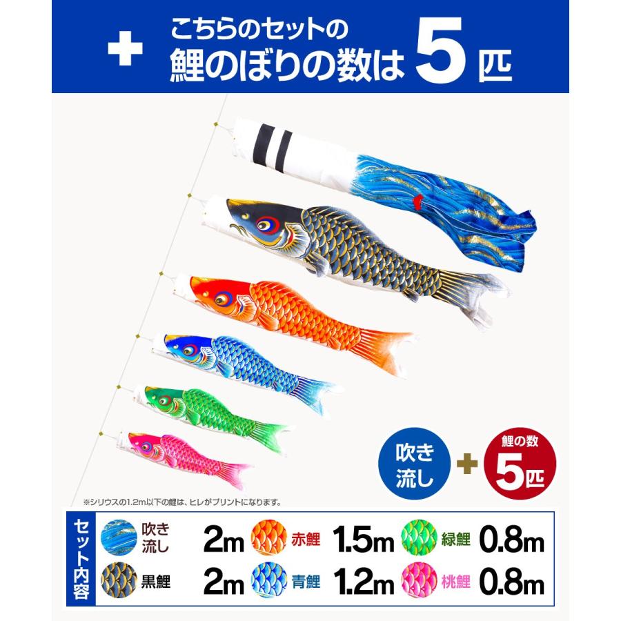 鯉のぼり ベランダ用 こいのぼり 彩光鯉 SIRIUS 2m 8点セット 庭園 ベランダ 兼用 ガーデンベランダセット スタンド付属の画像