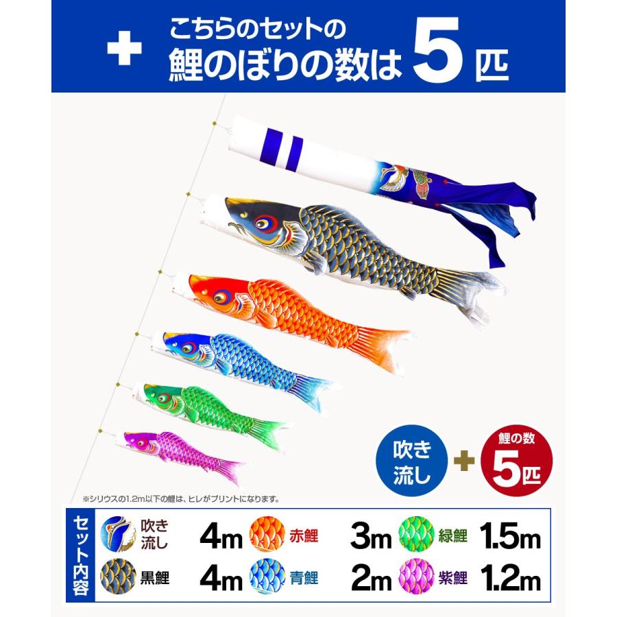 鯉のぼり 庭用 こいのぼり 彩光鯉 SIRIUS 4m 8点セット 庭園 大型セット ポール 別売_2