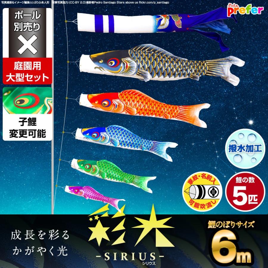 鯉のぼり 庭用 こいのぼり 彩光鯉 SIRIUS 6m 8点セット 庭園 大型セット ポール 別売