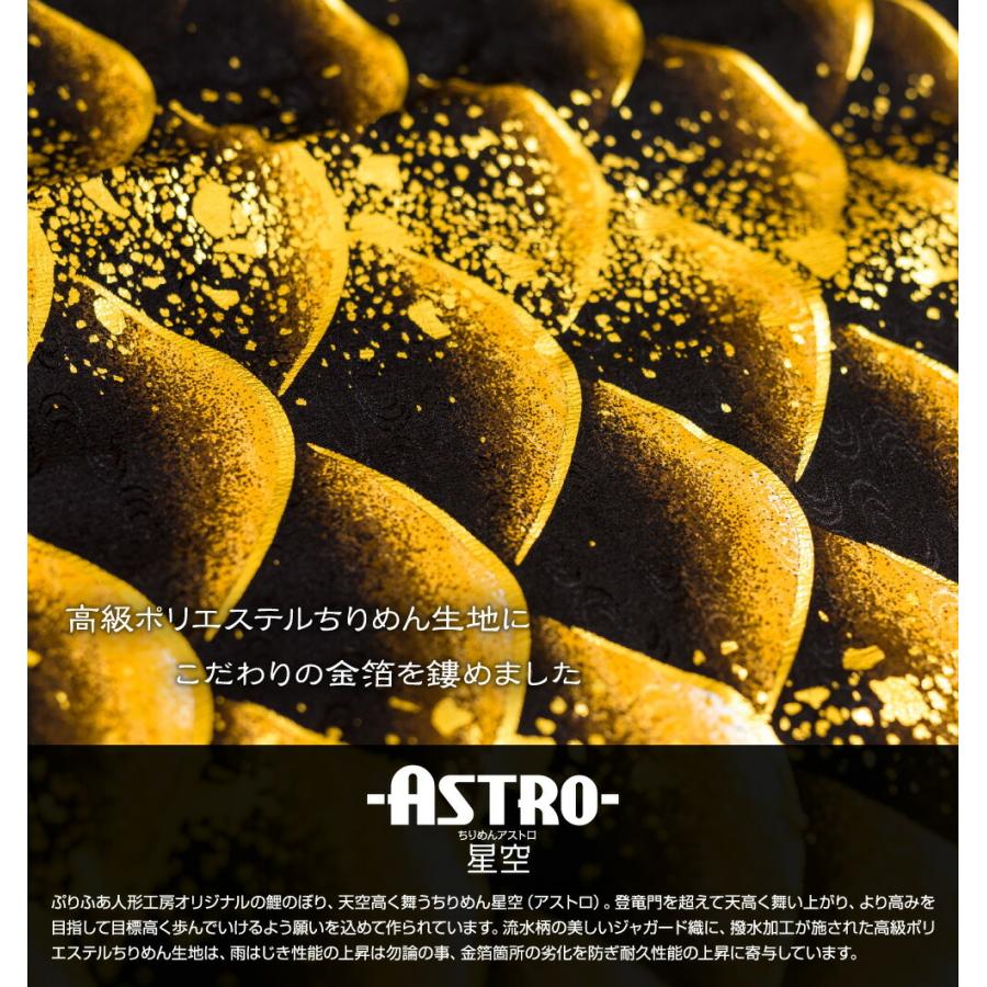 鯉のぼり ベランダ用 こいのぼり ASTRO ちりめん星空鯉 2m 8点セット 万能取付金具付属 ベランダ スタンダードセットの画像