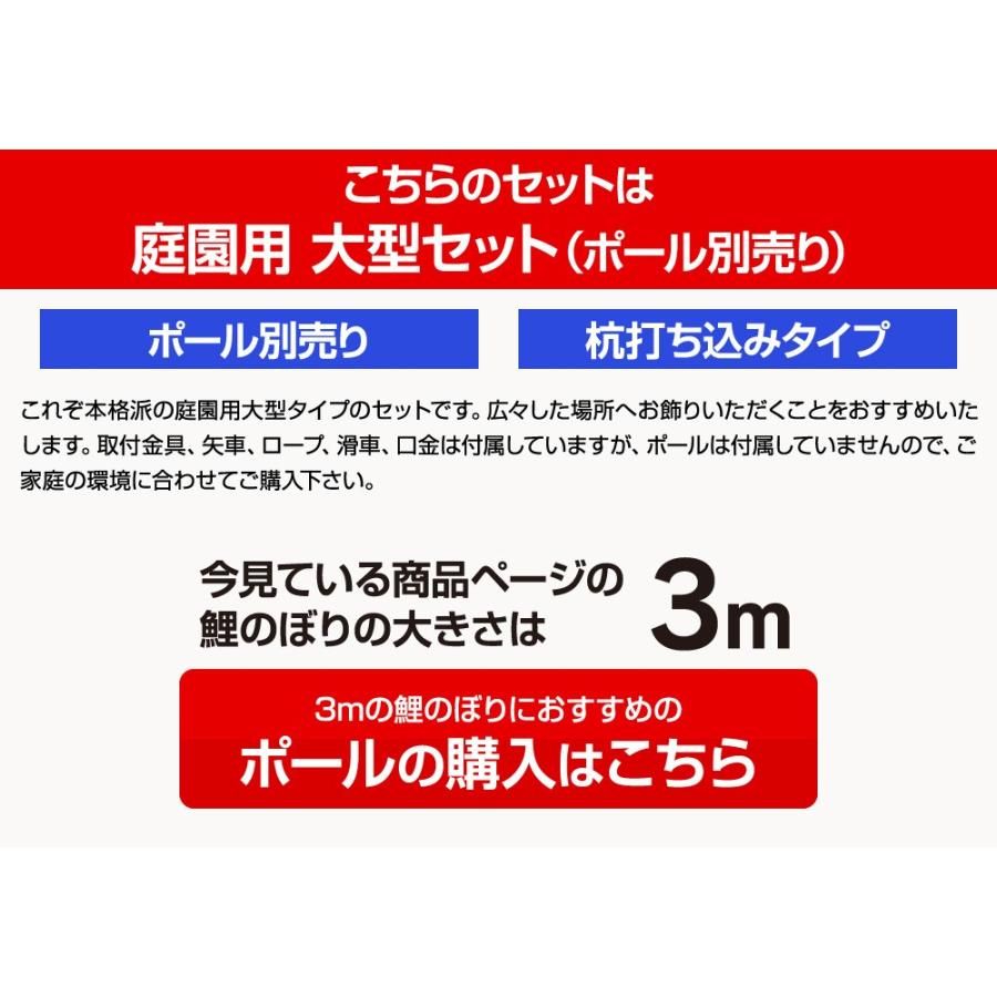 鯉のぼり 庭用 こいのぼり ASTRO ちりめん星空鯉 3m 6点セット 庭園 大型セット ポール 別売_3