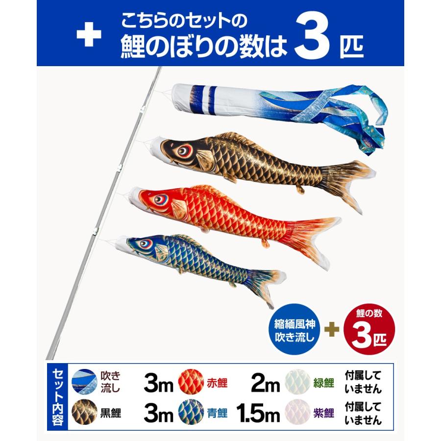 鯉のぼり 庭用 こいのぼり ASTRO ちりめん星空鯉 3m 6点セット 庭園 大型セット ポール 別売_4
