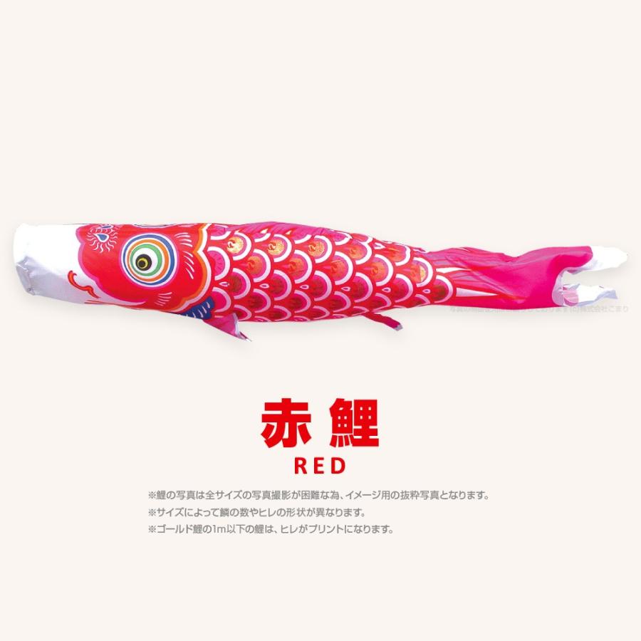 こいのぼり 単品 ゴールド鯉 8m 単品鯉 黒 赤 青の画像