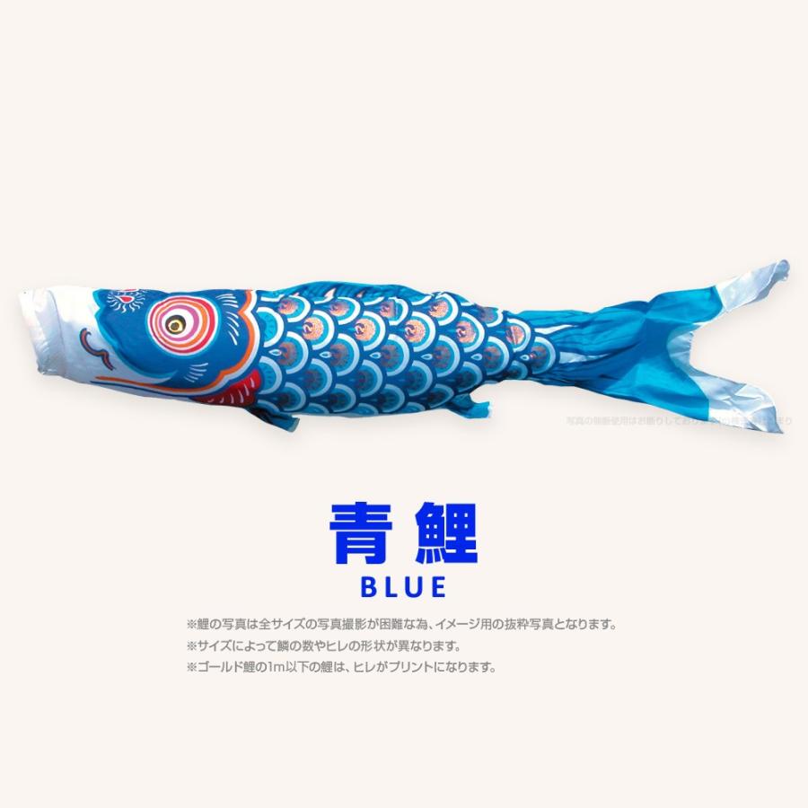 こいのぼり 単品 ゴールド鯉 8m 単品鯉 黒 赤 青の画像