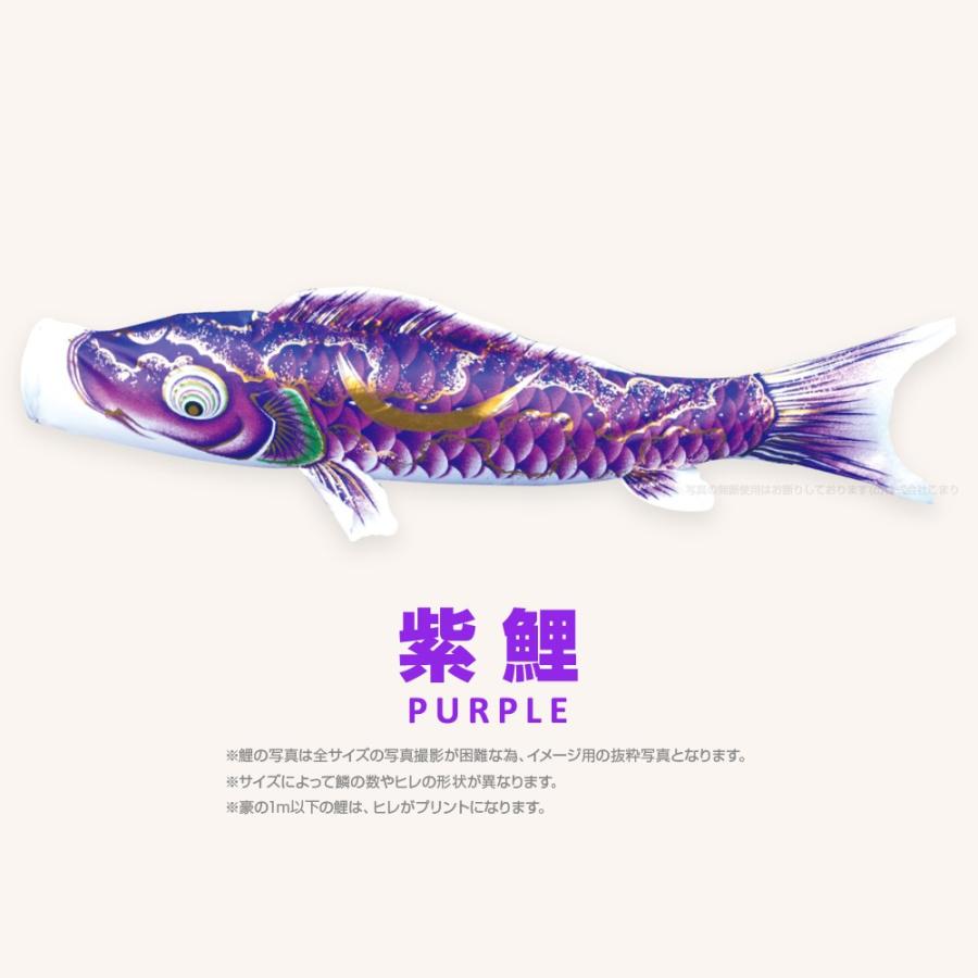 こいのぼり 単品 豪 1m 単品鯉 赤 青 緑 紫 ピンク : 節句&ギフト専門