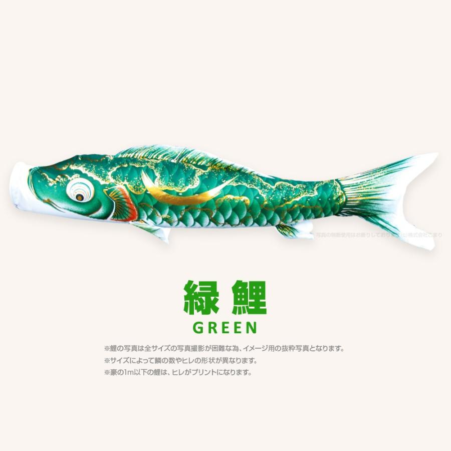 こいのぼり 単品 豪 5m 単品鯉 黒 赤 青 緑 : 節句&ギフト専門店 ぷり