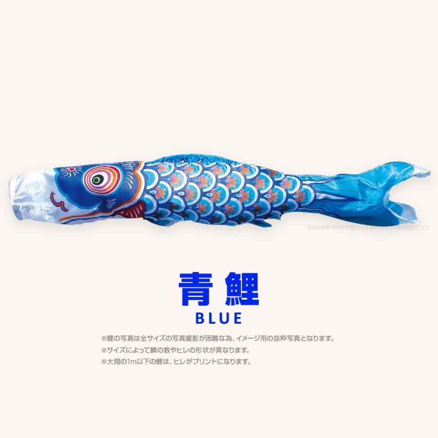 こいのぼり 単品 太翔 2m 単品鯉 黒 赤 青 緑 橙 : 節句&ギフト専門店