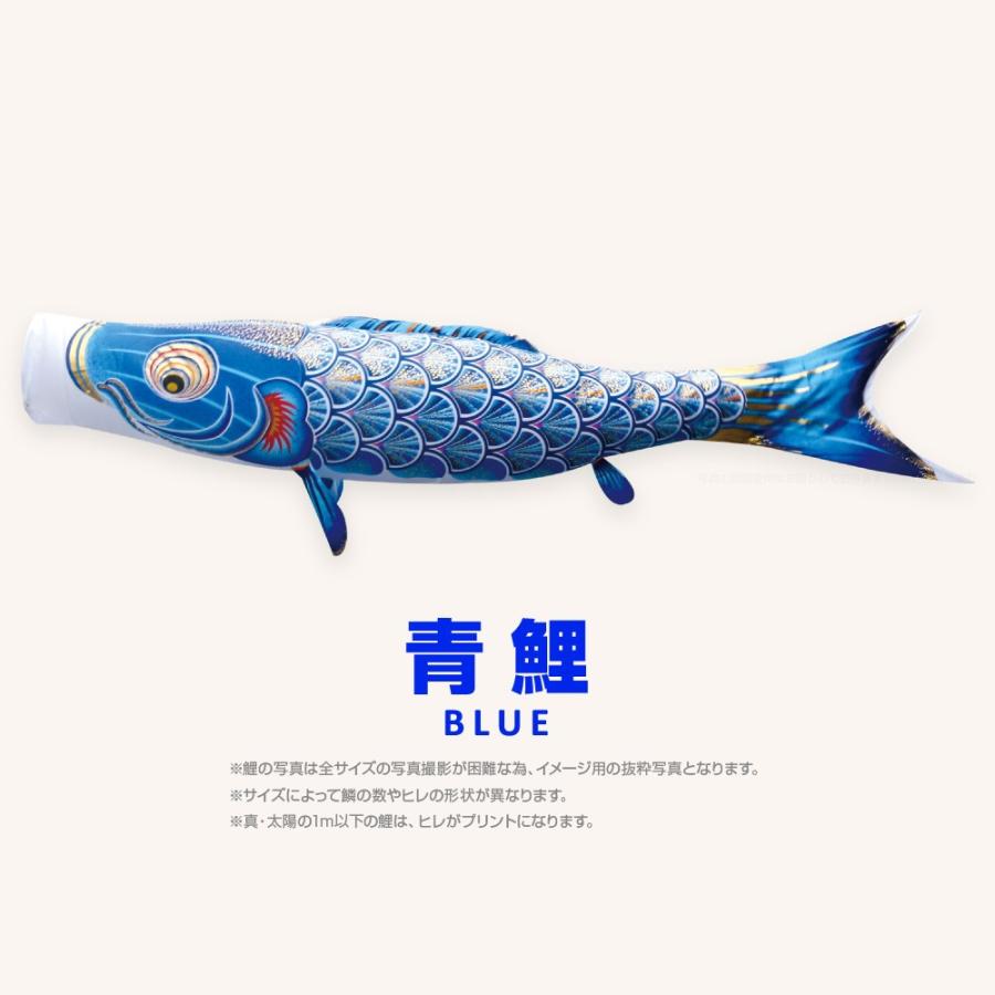 こいのぼり 単品 太陽鯉 0.8m 単品鯉 青 緑 紫 ピンク : 節句&ギフト