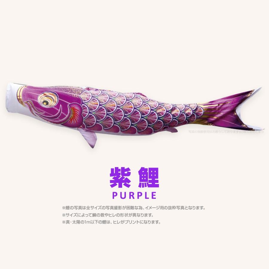 こいのぼり 単品 太陽鯉 0.8m 単品鯉 青 緑 紫 ピンク : 節句&ギフト