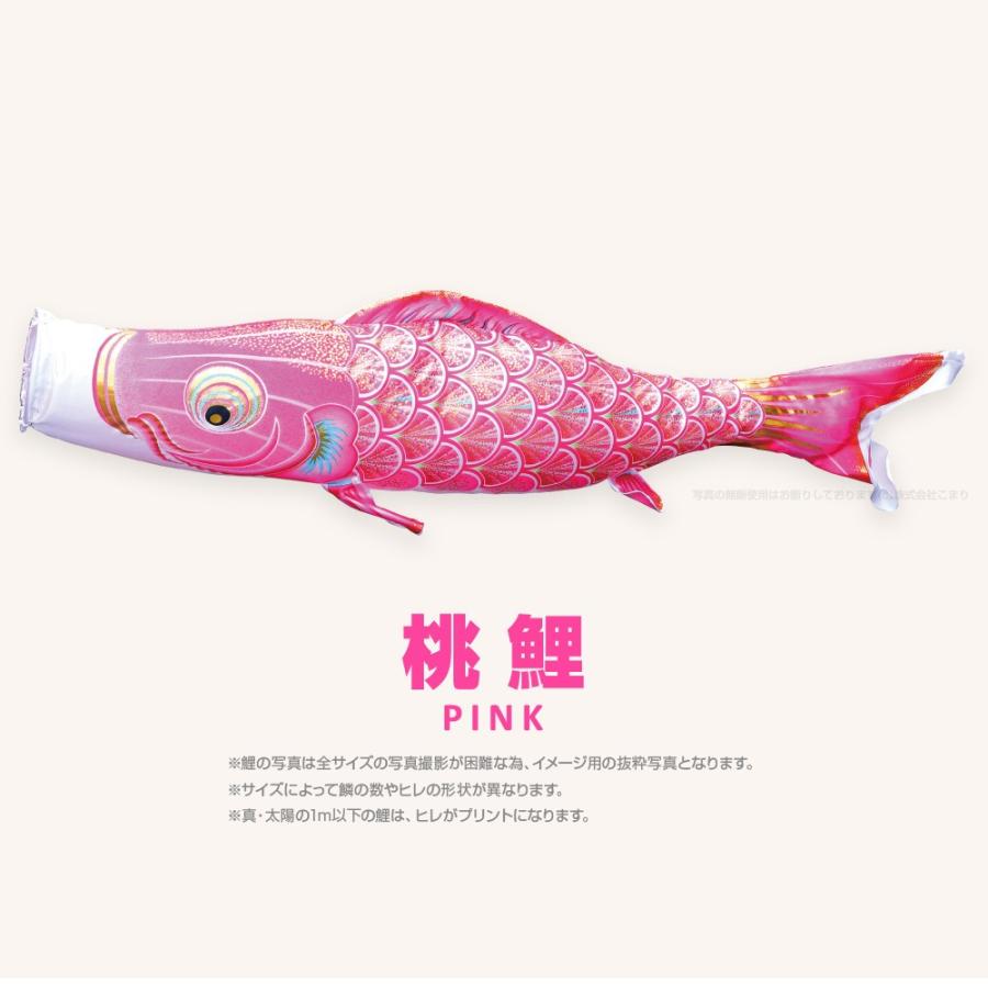 こいのぼり 単品 太陽鯉 1m 単品鯉 赤 青 緑 紫 ピンク_5