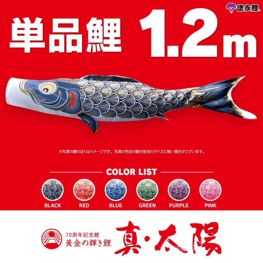 こいのぼり 単品 太陽鯉 1.2m 単品鯉 黒 赤 青 緑 紫 ピンク : 節句