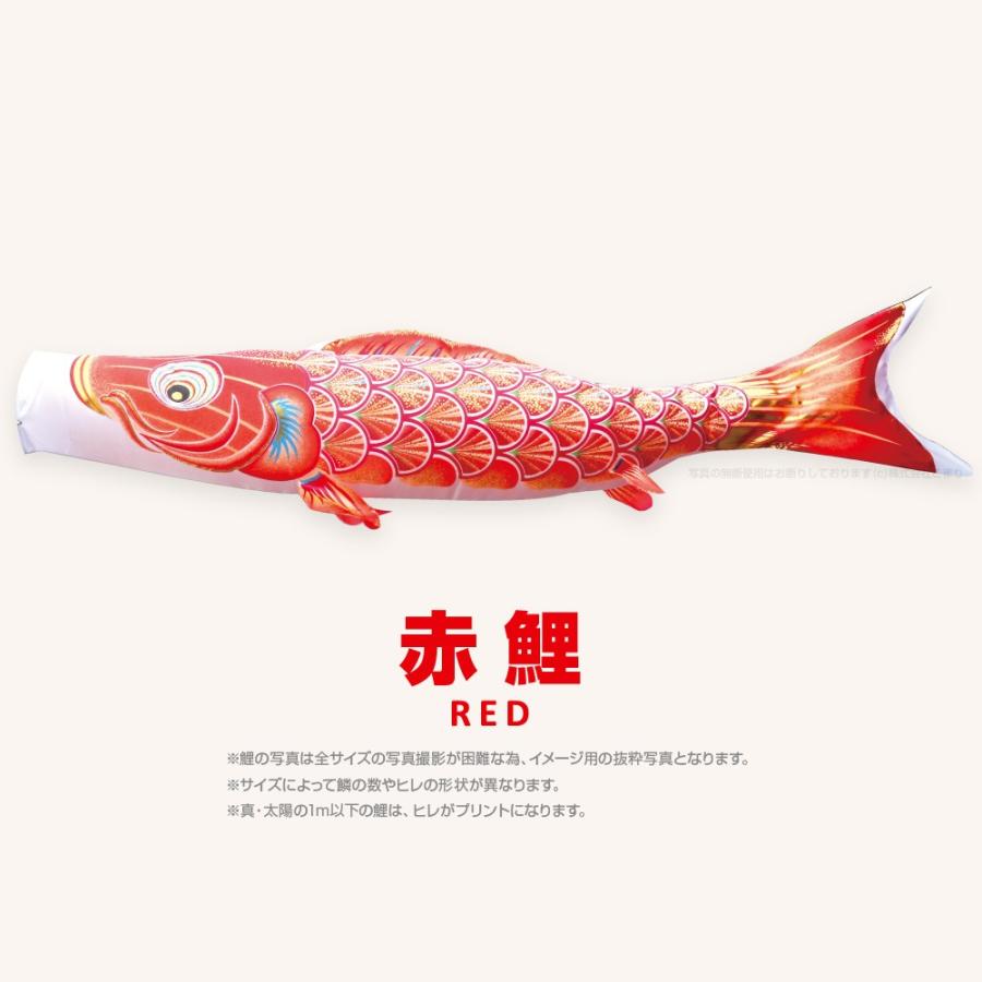 こいのぼり 単品 太陽鯉 1.2m 単品鯉 黒 赤 青 緑 紫 ピンク : 節句