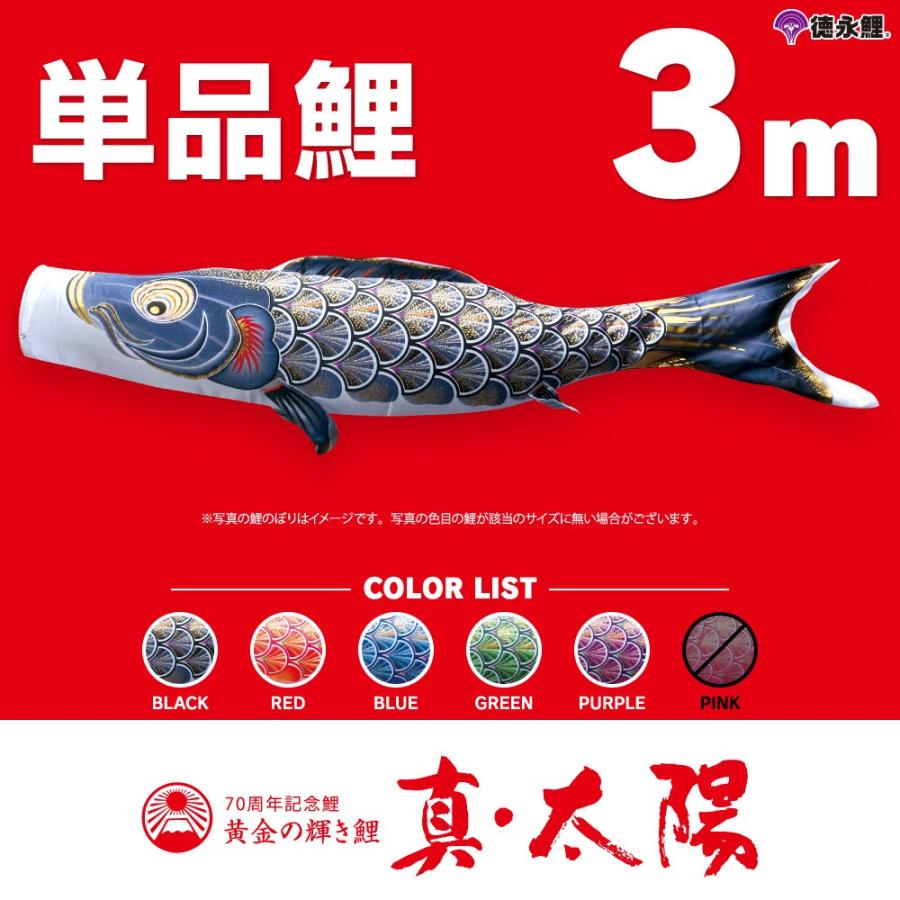 こいのぼり 単品 太陽鯉 3m 単品鯉 黒 赤 青 緑 紫