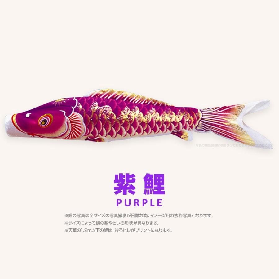 こいのぼり 単品 天華鯉 1.2m 単品鯉 : 節句&ギフト専門店 ぷりふあ