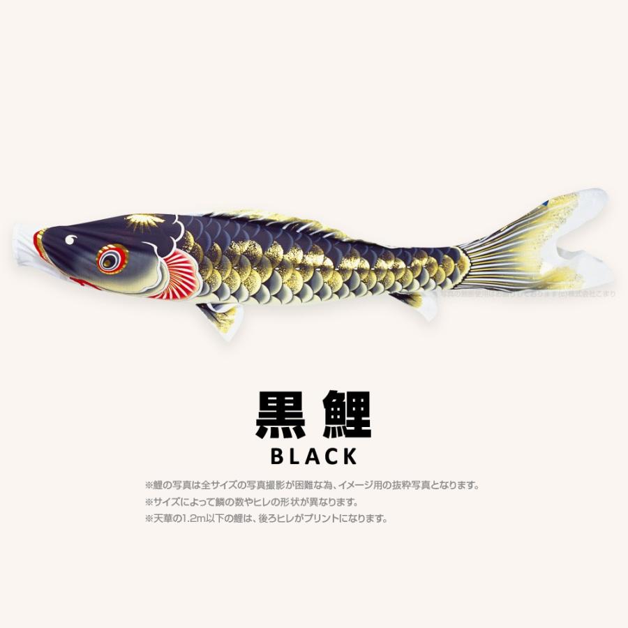 こいのぼり 単品 天華鯉 5m 単品鯉の画像