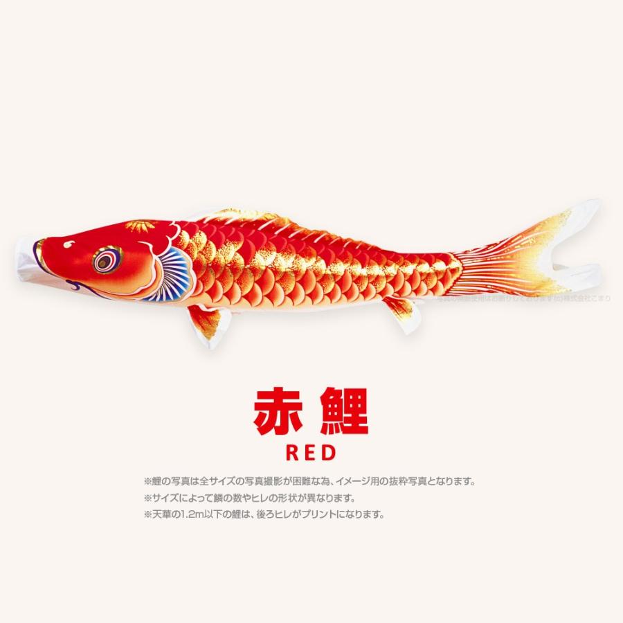 こいのぼり 単品 天華鯉 5m 単品鯉の画像