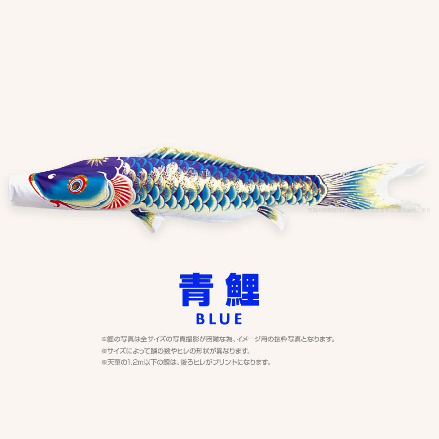 こいのぼり 単品 天華鯉 5m 単品鯉の画像