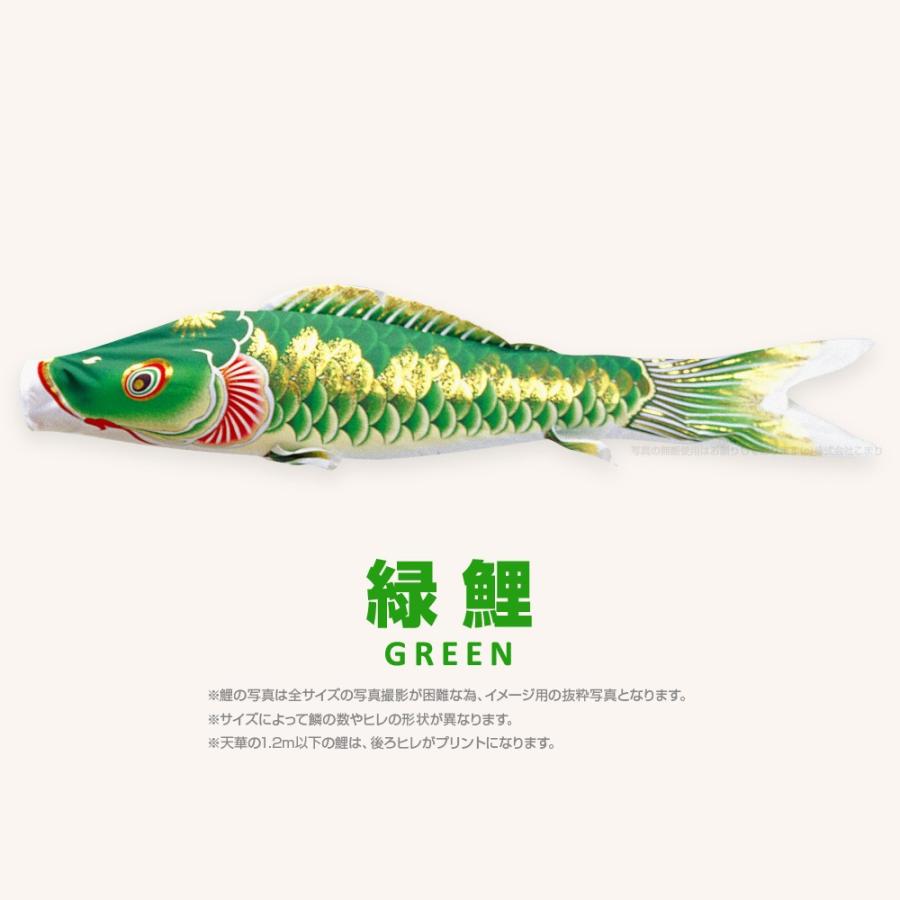 こいのぼり 単品 天華鯉 5m 単品鯉の画像