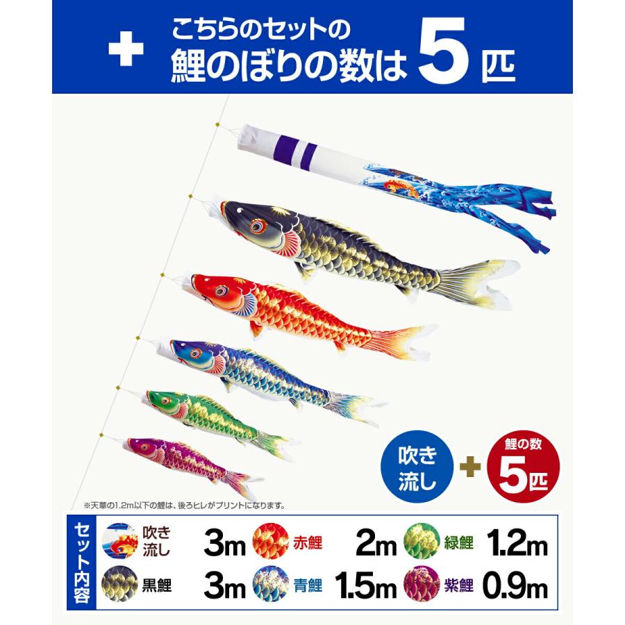 鯉のぼり 庭用 こいのぼり 錦鯉 超撥水パールトーン採用 天華鯉 3m 8点セット 庭園 大型セット ポール 別売