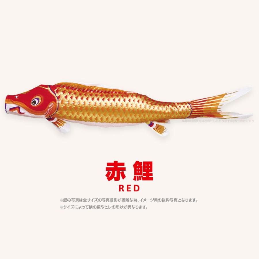 こいのぼり 単品 江戸錦鯉 2m 単品鯉 : 節句&ギフト専門店 ぷりふあ