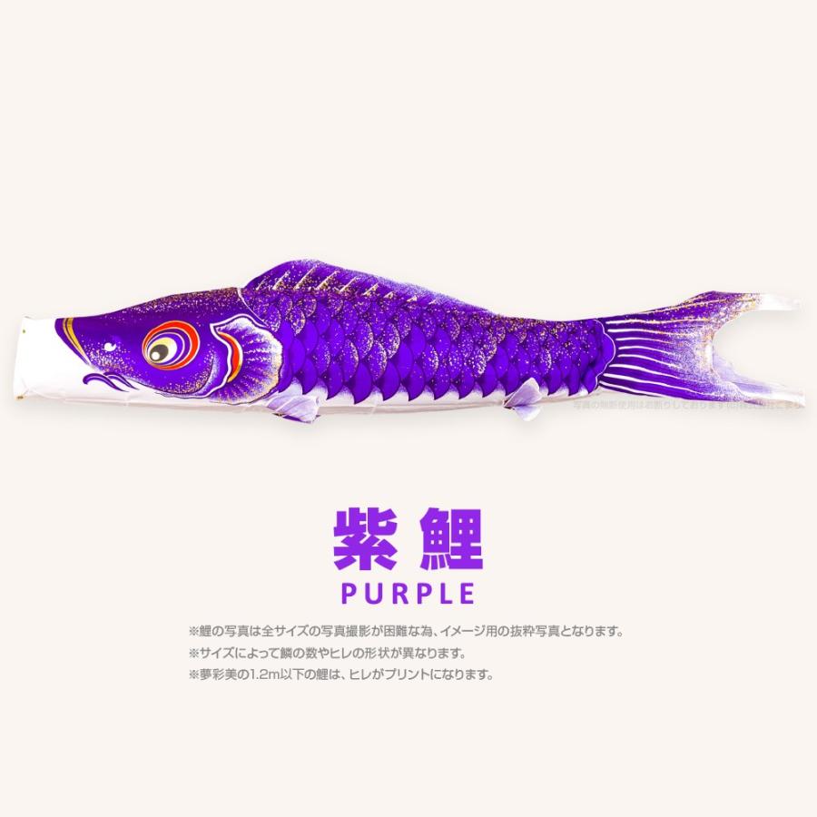 単品 夢・彩・美 3m 単品鯉 【大空】