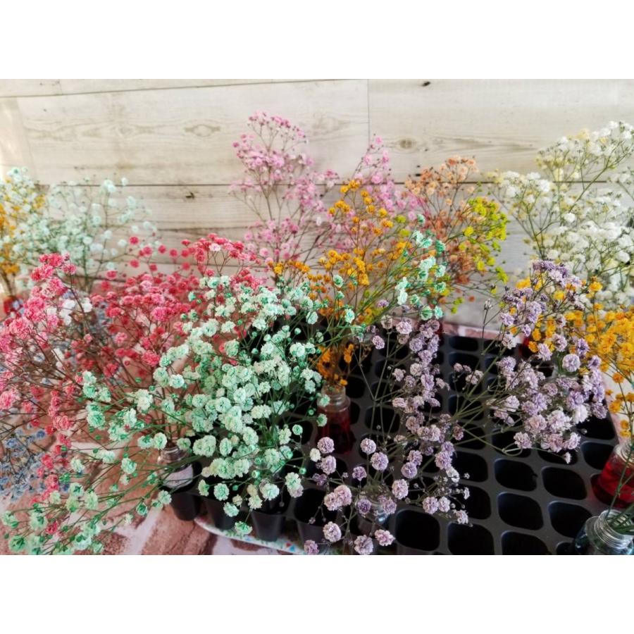 プリザーブドリーフ液 <ピンク> 150ml |  | 01