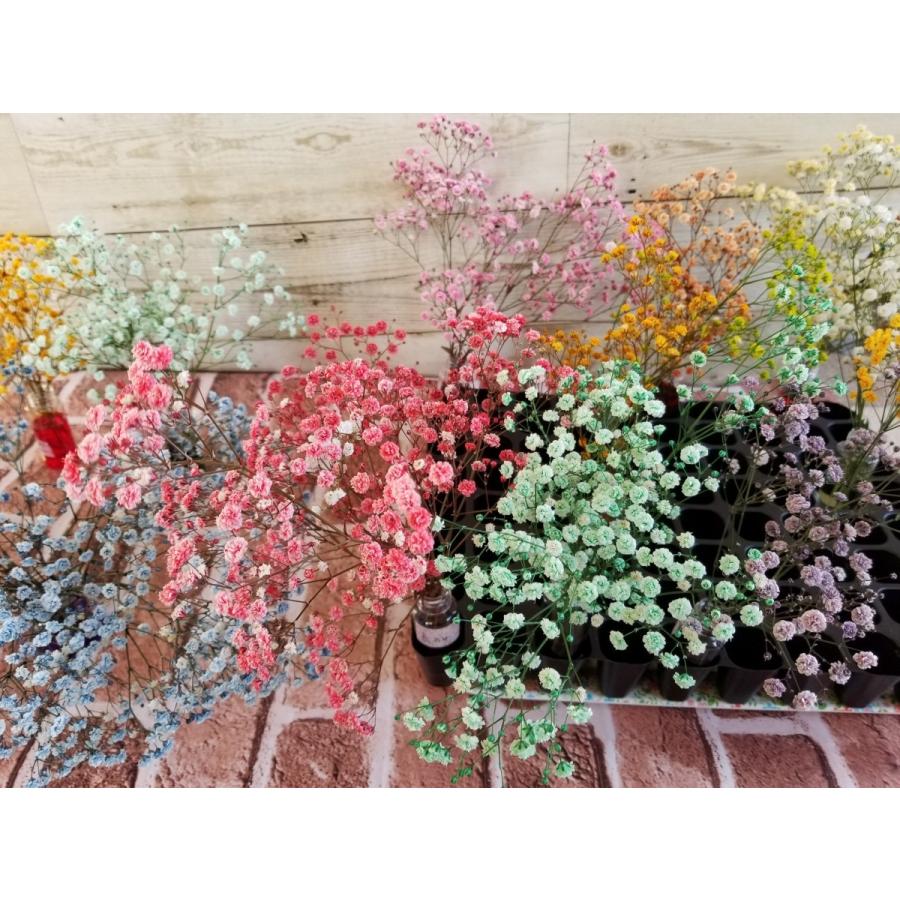 プリザーブドリーフ液 <ピンク> 1000ml |  | 01