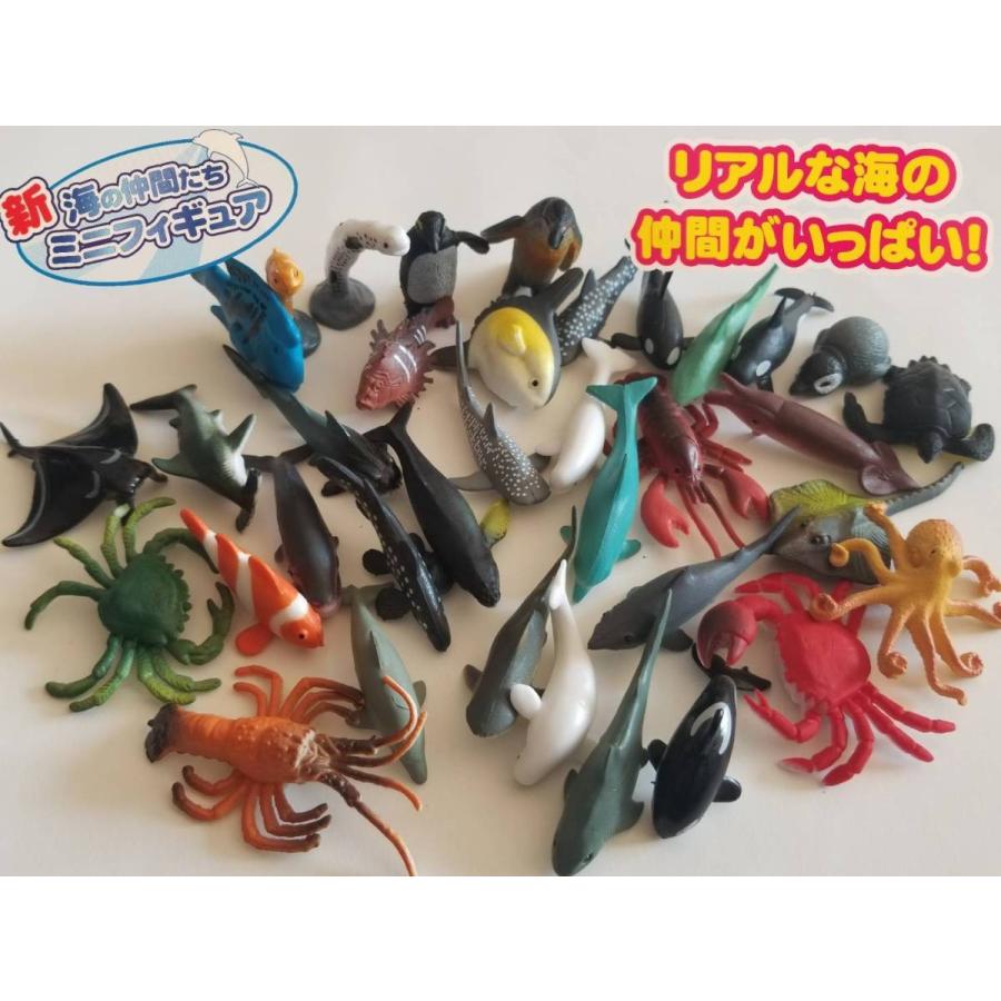 海花セール❣️海花★バラエティセット　ハーバリウム花材　1104-D フィギュア 海シリーズ 全36種類入り : プリ花Plus ヤフー店 - 通販